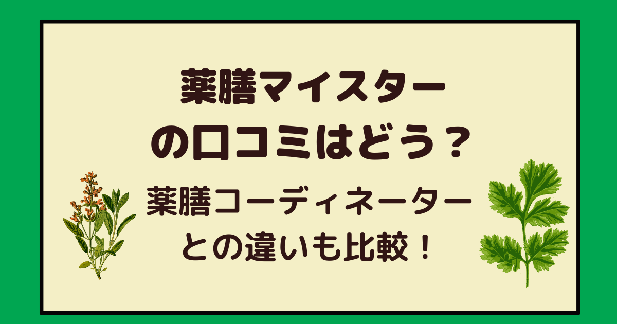 がくぶん 薬膳マイスターの口コミはどう 薬膳コーディネーターとは何が違うの アラフォー主婦と暮らしを豊かにする資格 がくぶん 薬膳マイスターの口コミはどう 薬膳コーディネーターとは何が違うの アラフォー主婦と暮らしを豊かにする資格